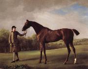 George Stubbs Lustre hero by a Groom china oil painting artist